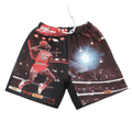Jordan Dunk Tapestry Shorts